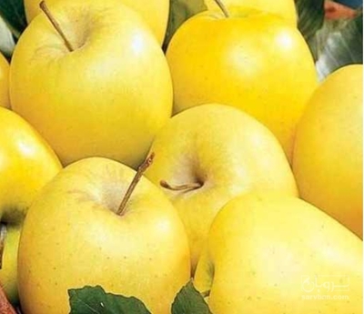 فروش سیب زرد