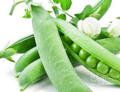 فروش نخود فرنگی