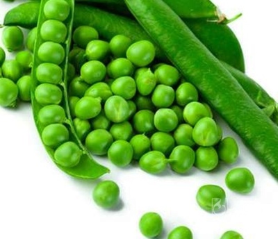 فروش نخود فرنگی