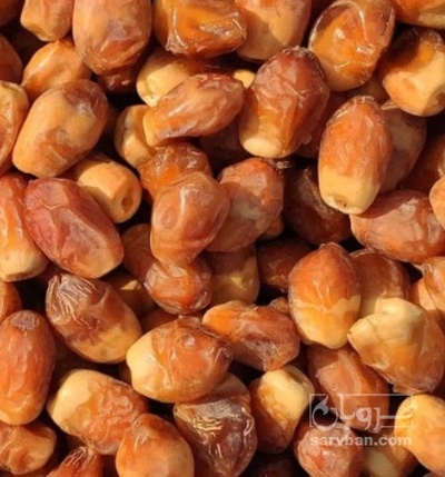 فروش خرما زاهدی