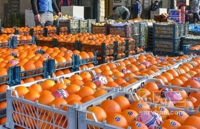 فروش پرتقال