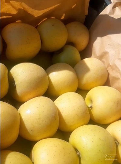 فروش سیب زرد