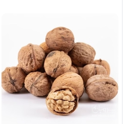 فروش گردو