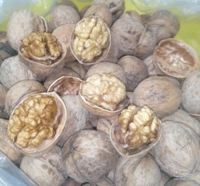 فروش گردو