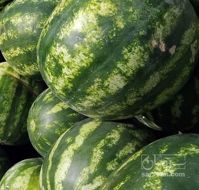 فروش هندوانه گرد