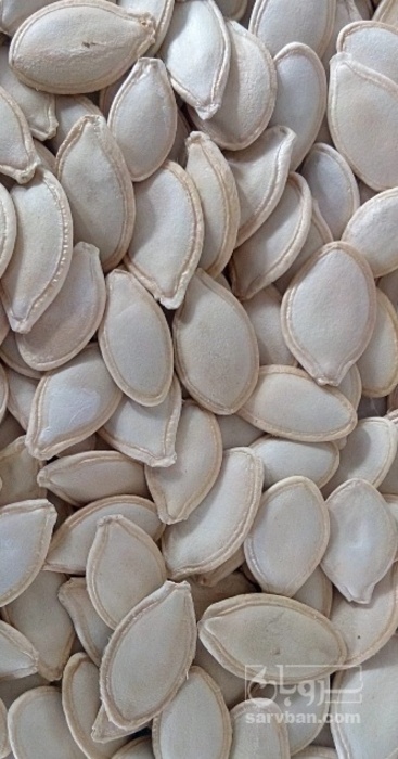 فروش تخمه  کدو بو داده