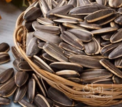 فروش تخمه آفتابگردان بود داده