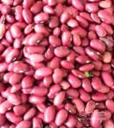 فروش لوبیا قرمز