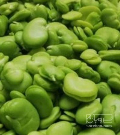 فروش لپه باقلا تازه - باقالی - باقالا