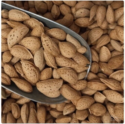 فروش بادام سنگی