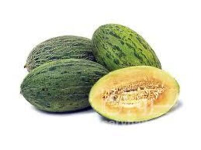 فروش خیارشمام