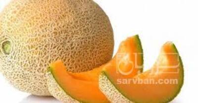 فروش ملون
