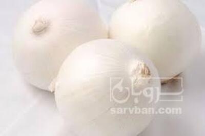 فروش پیازسفید