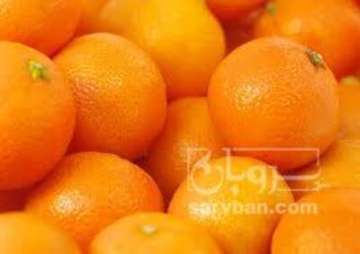 فروش پرتقال