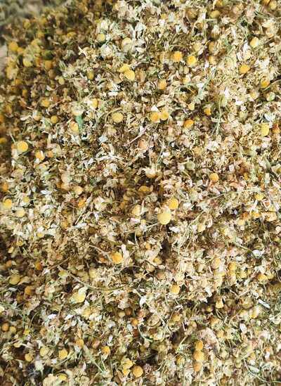 فروش بابونه (گیاه‌ دارویی)