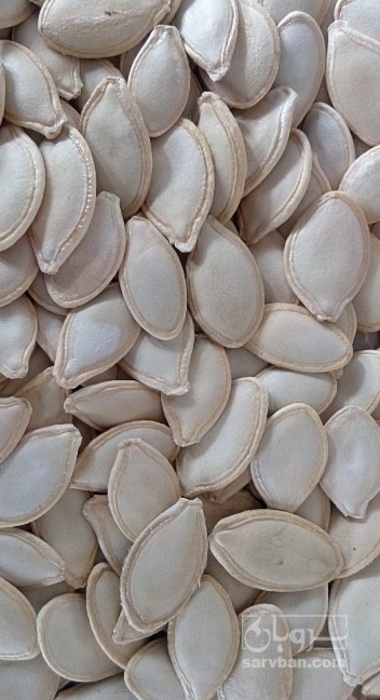 فروش تخمه  کدو بو داده