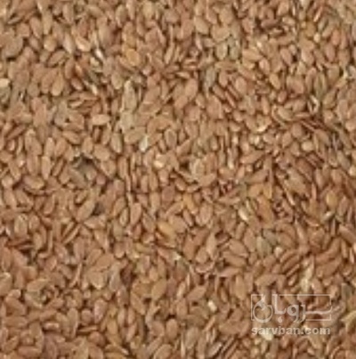 فروش کتان (گیاه الیافی)