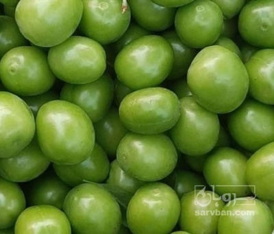 فروش گوجه سبز