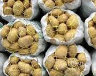 فروش سیب زمینی جلی