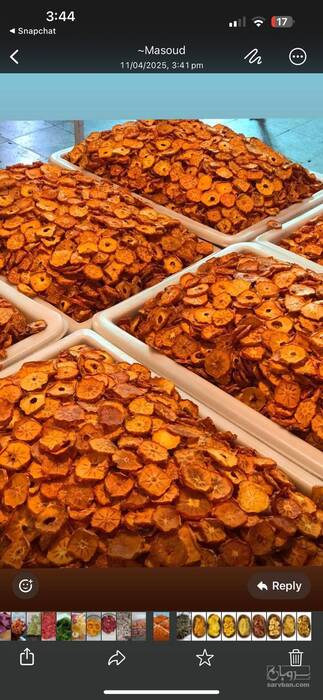 فروش خرمالو