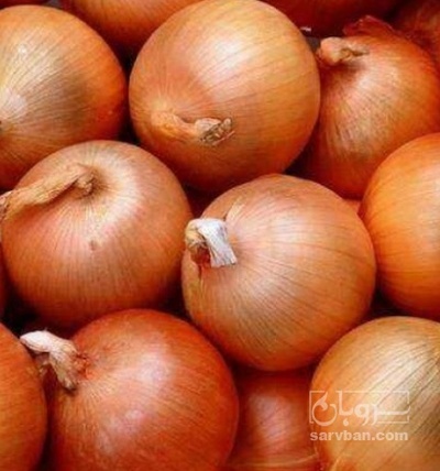 فروش پیاز زرد