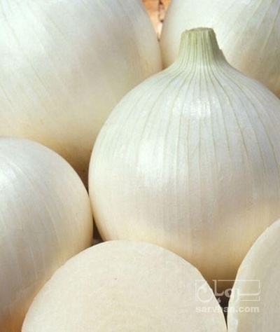 فروش پیاز سفید