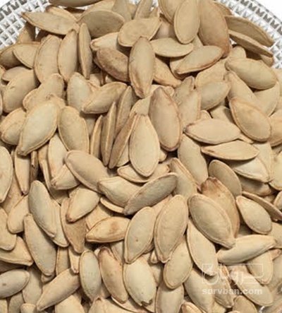 فروش تخمه  کدو بو داده