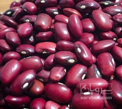 فروش لوبیا قرمز