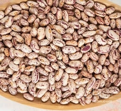 فروش لوبیا چیتی