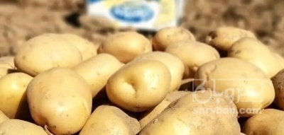فروش سیب زمینی جلی