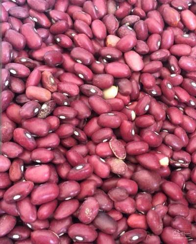 فروش لوبیا چیتی