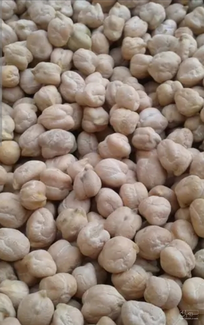 فروش نخود