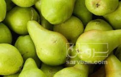 فروش گلابی