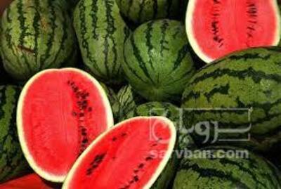 فروش هندوانه