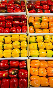 فروش فلفل دلمه ای رنگی