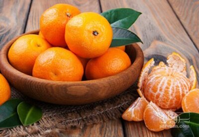 فروش نارنگی