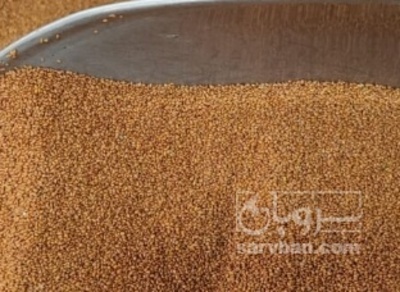 فروش خاکشیر (گیاه‌ دارویی)