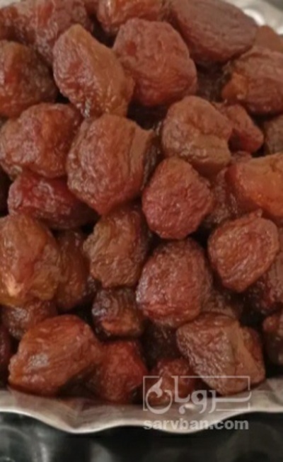 فروش آلو بخارا رسمی