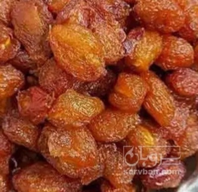 فروش آلو بخارا طرقبه