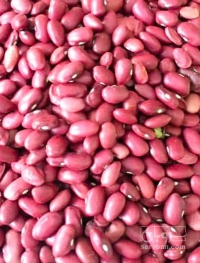 فروش لوبیا قرمز
