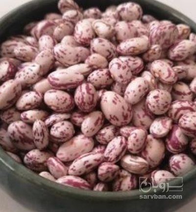 فروش لوبیا چیتی