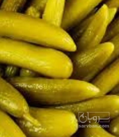 فروش خیار شور ویژه و سوپر ویژه