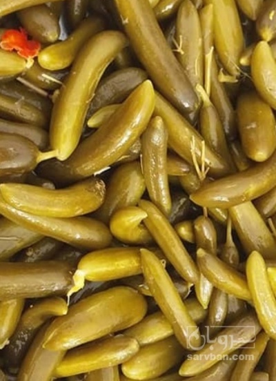 فروش خیار شور نول