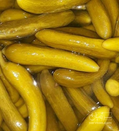 فروش خیار شور ممتاز