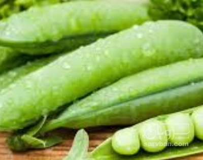 فروش نخود فرنگی نیم هکتار