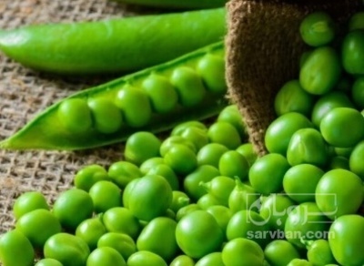 فروش نخود فرنگی