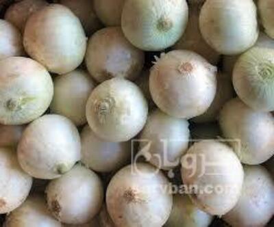 فروش پیازسفید