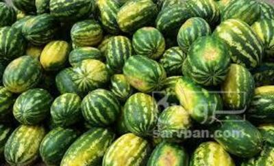 فروش هندوانه