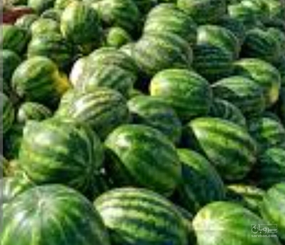 فروش هندوانه