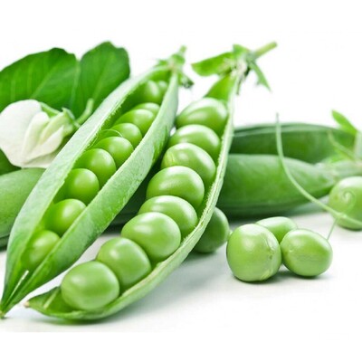 فروش نخود فرنگی